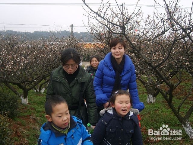 宝宝春季出游，该注意什么？