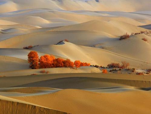 甘肃游温情提示