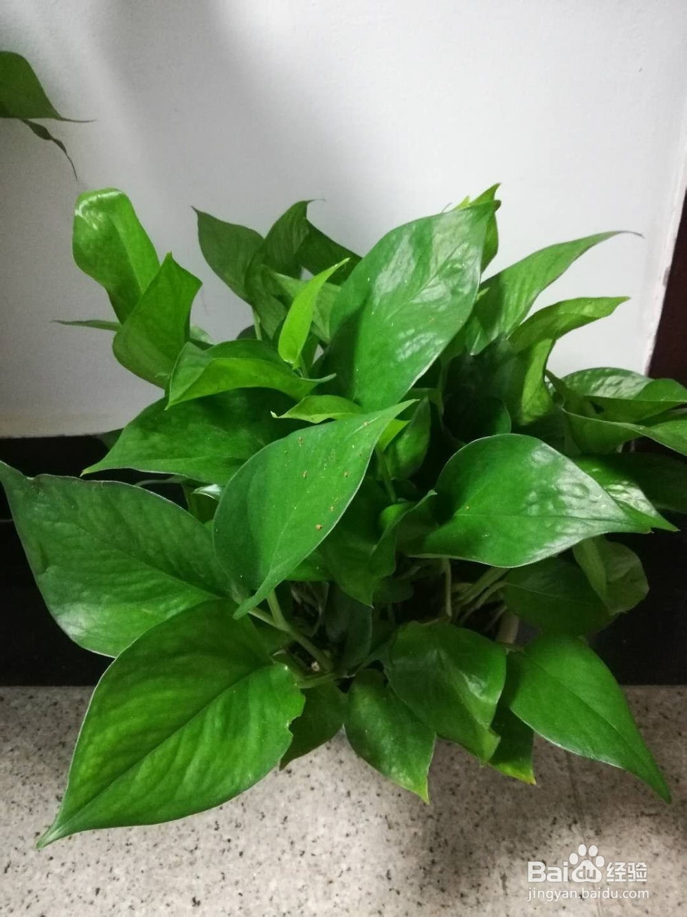 怎样有效防治失眠？