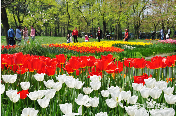 “捂春晾秋”春天养生小常识