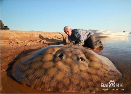 如何培养学生学习生物的各种能力