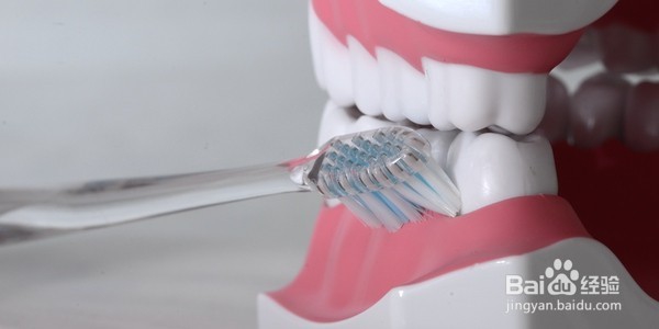 教你如何正确干净的刷牙?