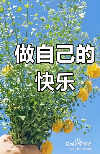 每天坚持锻炼对身体有什么好处？
