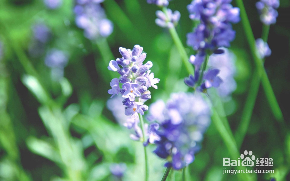 12星座如何应对七年之痒？有你要的答案