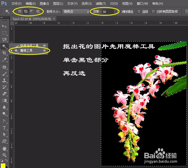 PS实例:抠图方法、技巧集合(二)