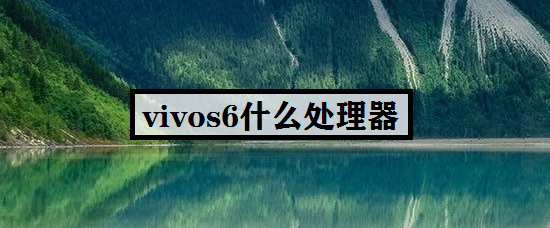 vivos6什么处理器