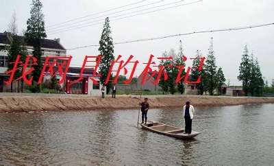 捕捉野生龙虾的实用技巧