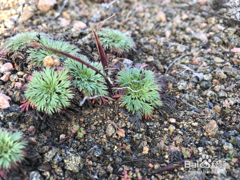 郊游怎样获得秋趣