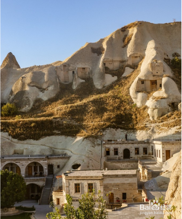 土耳其恋猫之国月落星沉你是黎明时分的光。