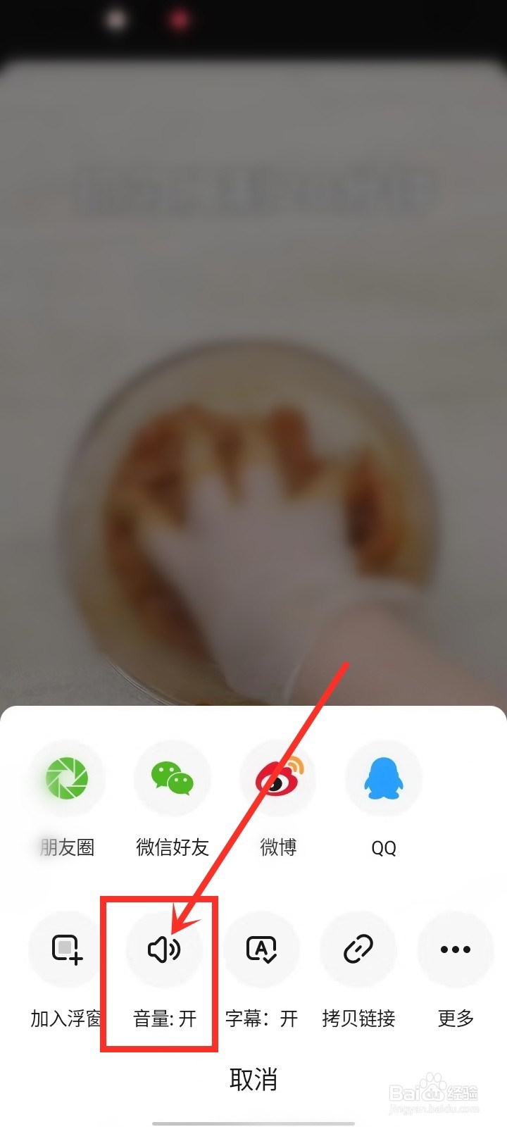 懒饭app视频静音怎么关闭
