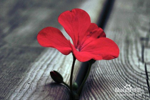 怎么花钱钱会越来越多？