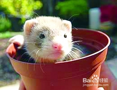 古人的养生方式