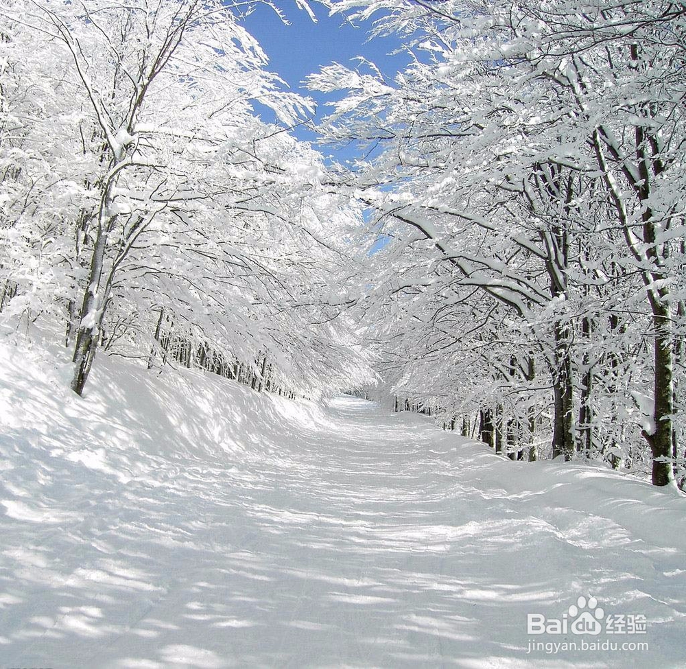堆呀堆呀堆雪人——堆雪人必备技巧