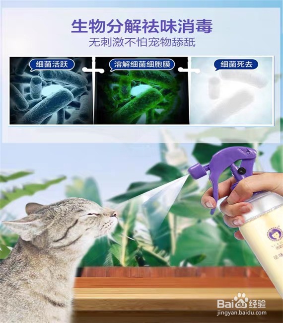 如何选购猫用杀菌喷雾