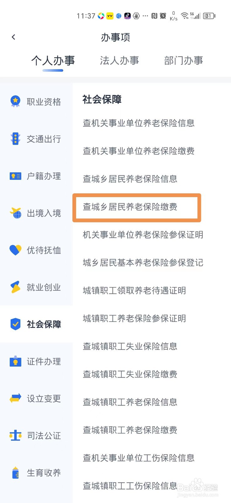 云南城乡居民养老保险缴费怎么查