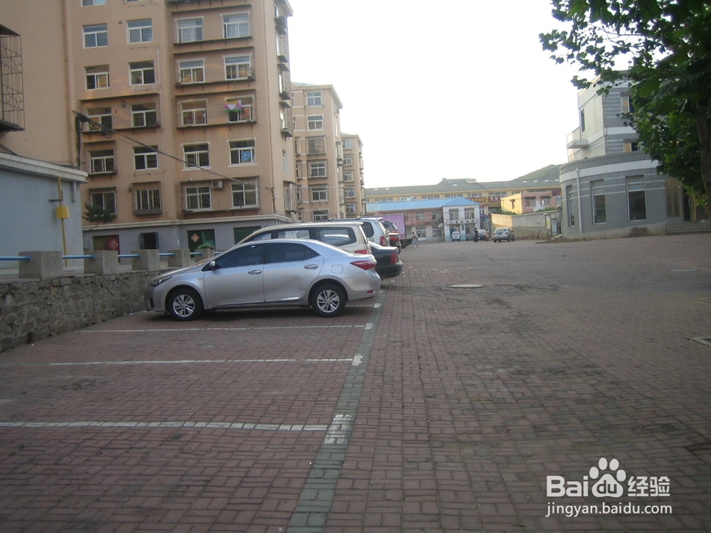 怎样告诉孩子安全过马路--56