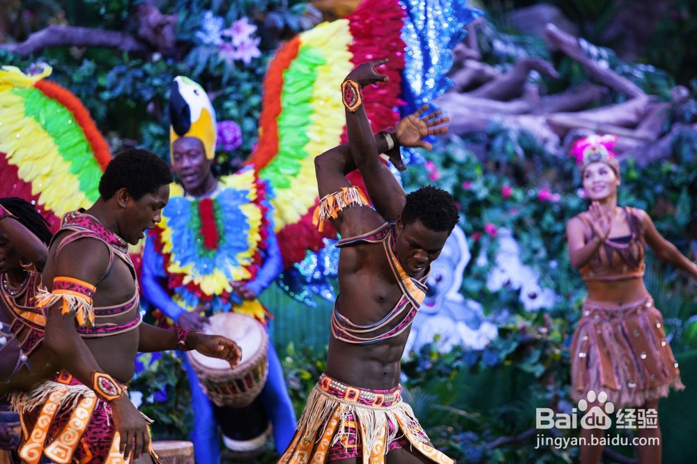 广州长隆野生动物世界攻略