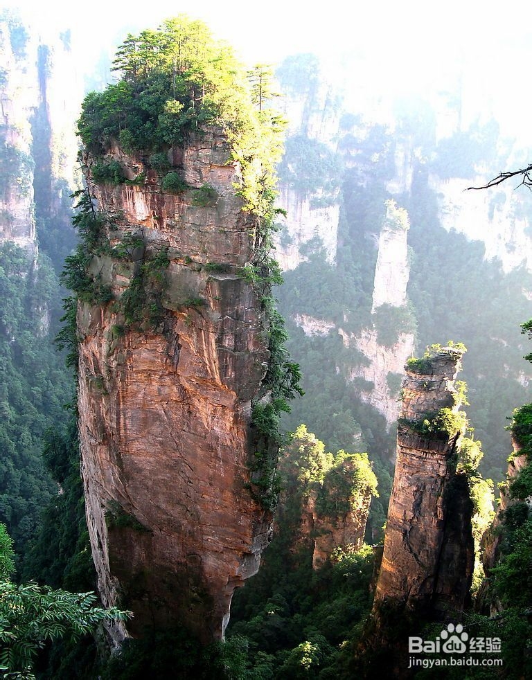 张家界十一旅游攻略