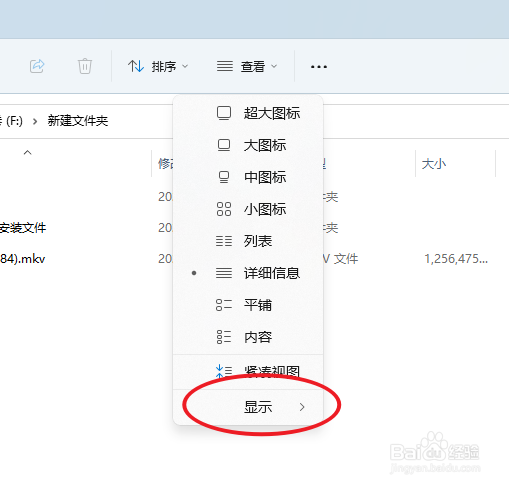 电脑文件夹内的隐藏项目如何显示出来