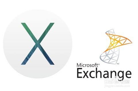 exchange固定搭配用法