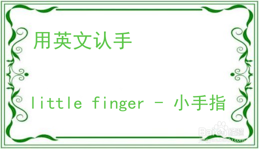教你用英文认手