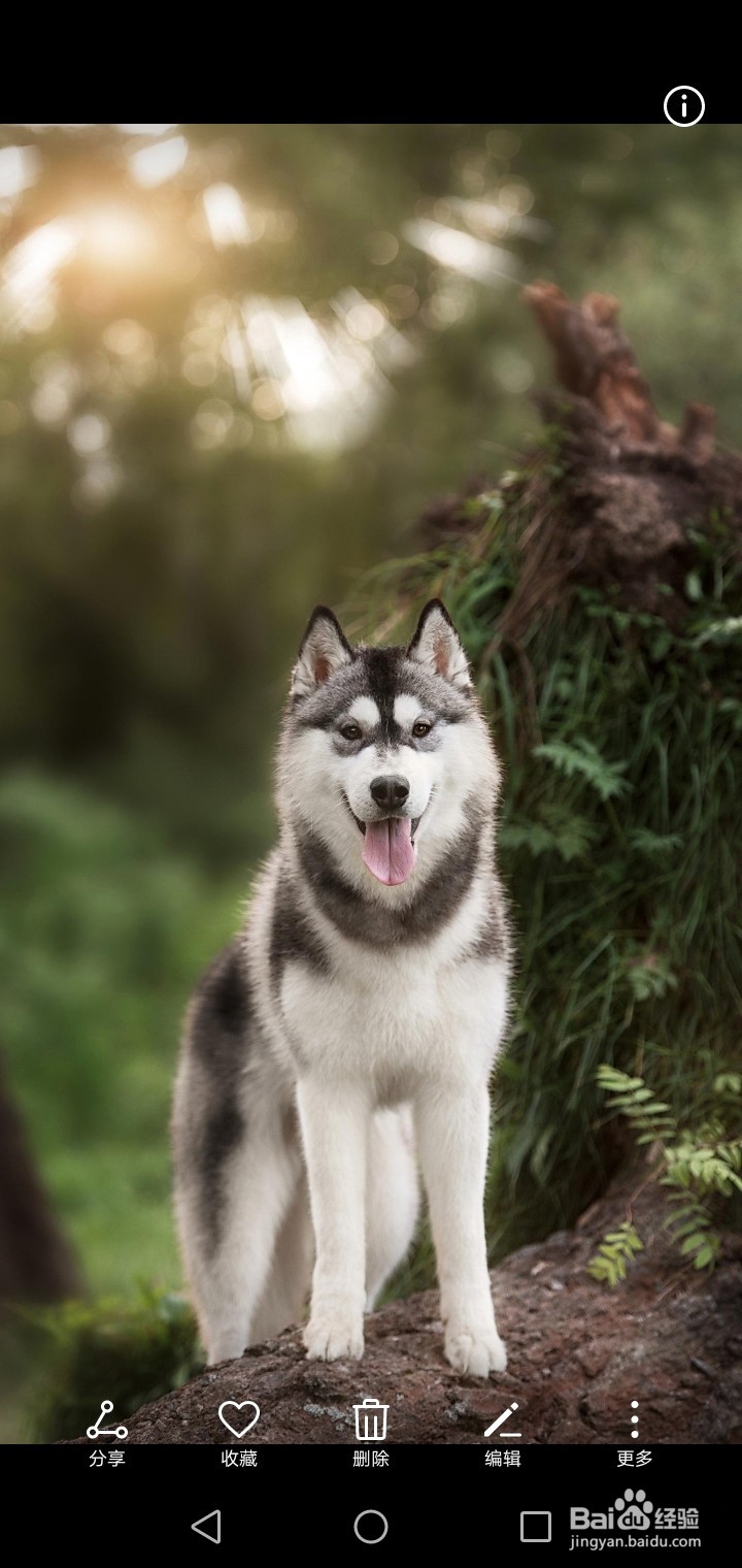 怎样把手机里的照片、视频上传到电脑里