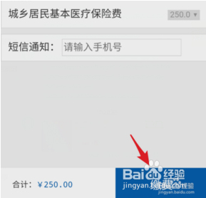 支付宝怎么交合作医?