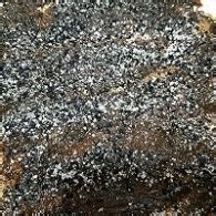 制作黑芝麻面卷