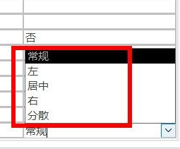 Access字段对齐方式怎么设置