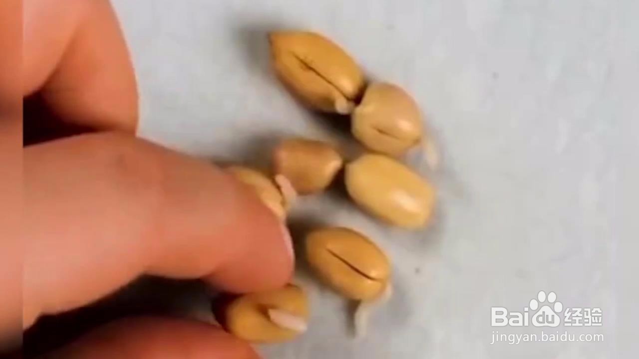如何在家小范围种菜