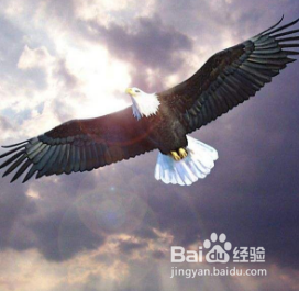 如何做演讲音乐伴奏