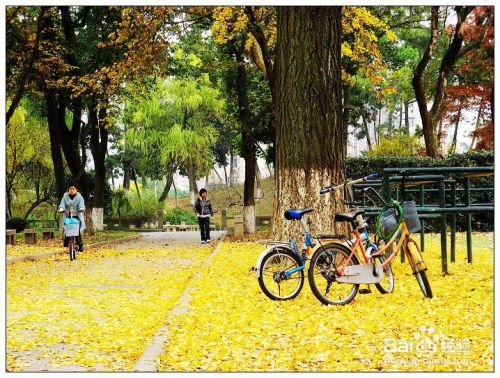 怎么选择一个适合自己的大学