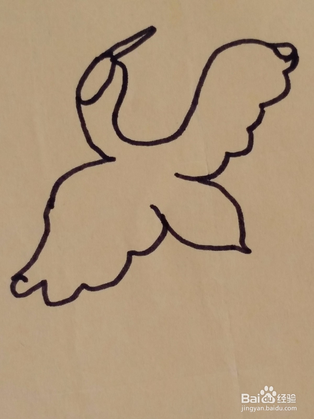 幼儿仙鹤手绘画法