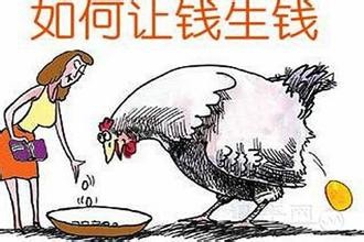 股票市场的理财模式