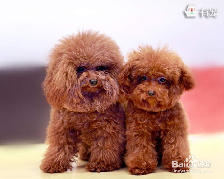 那些年我们用过的开结神器