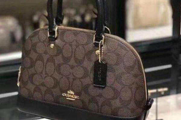 怎么查coach新出的包？怎么从编号知道它是什么时候出的