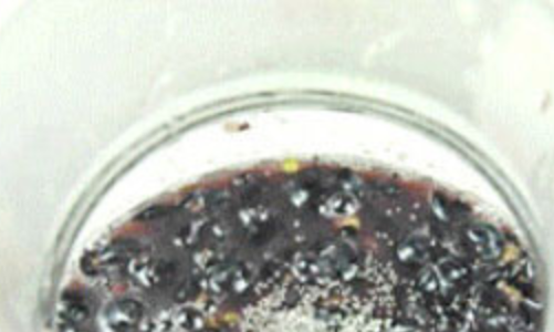 葡萄酒第二次发酵还需要过滤吗