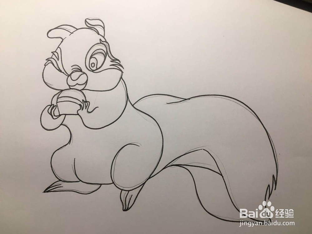 儿童彩色涂鸦:画一只准备吃面包的松鼠 手绘