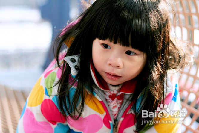 美国社区儿童乐园钻猪笼(组图)