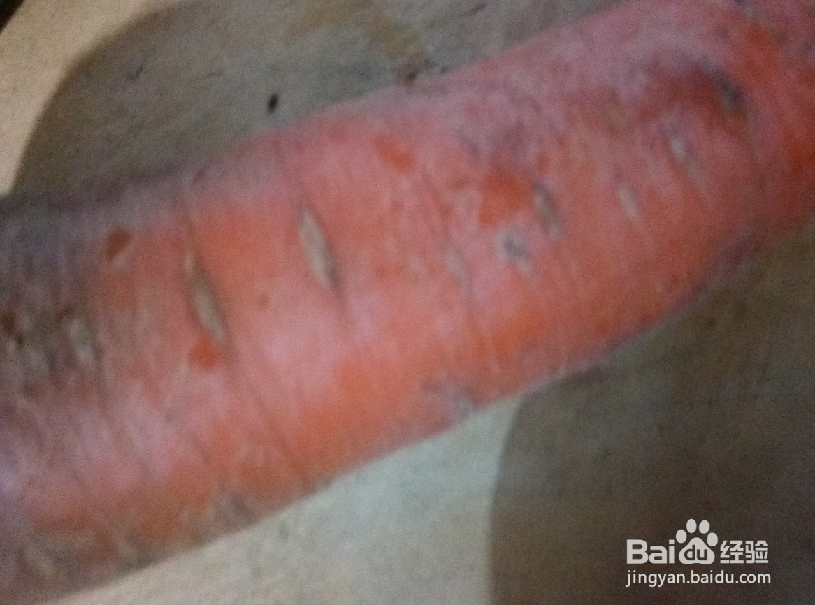 家常菜豆角炖土豆