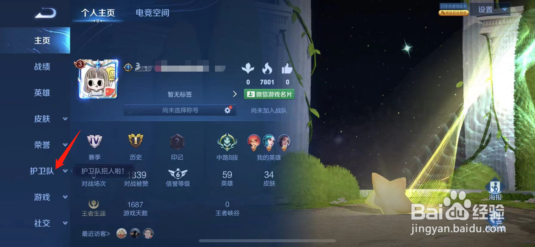 王者荣耀鹰眼护卫队没有申请入口
