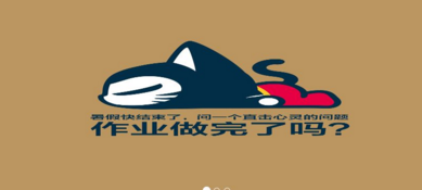 MIP 的加速原理是什么
