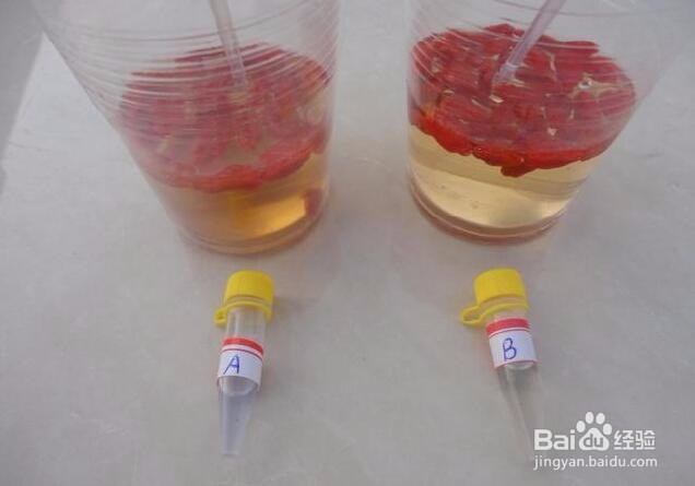 如何判断枸杞有没有熏硫磺？