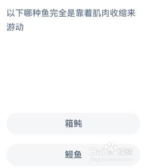 哪种鱼靠肌肉收缩来游动神奇海洋12.31答案