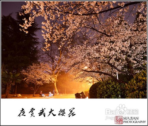 历史名校武汉大学赏樱游记攻略