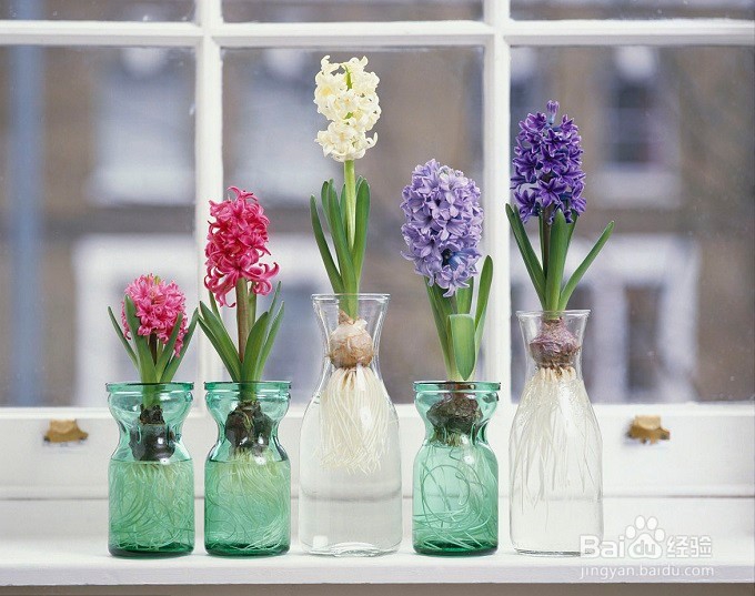 如何让鲜花保鲜更久？