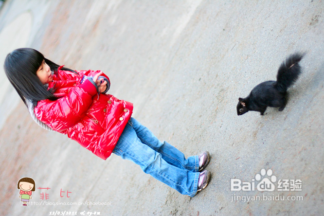 懒人菜蒜蓉烤青口&菲比喂小松鼠