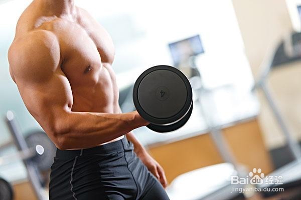 分享新手初到健身房的注意事项