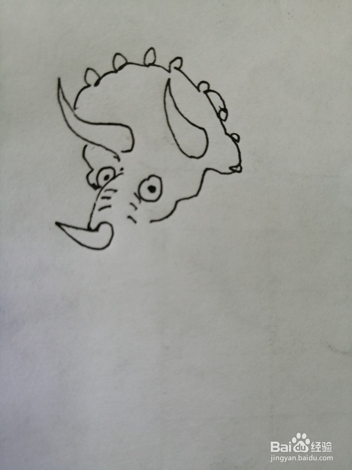 简笔画三角龙怎么画