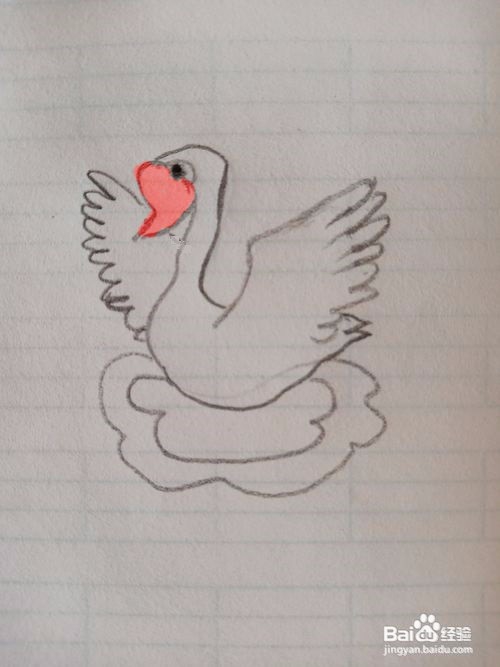 天鹅的简笔画